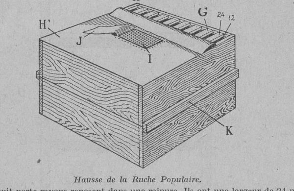 Eine einzelne Zarge (hausse) der Ruche Populaire in Schrägansicht, mit den acht aufgelegten Wabenträgern (porte-rayons), den zurückgeschlagenen Tüchern und den Buchstaben H, H', J, I, G, K; am rechten Rand die Zahlen 24 und 12 (Millimeter: Wabenträgerbreite 24 mm, Zwischenraum 12 mm).