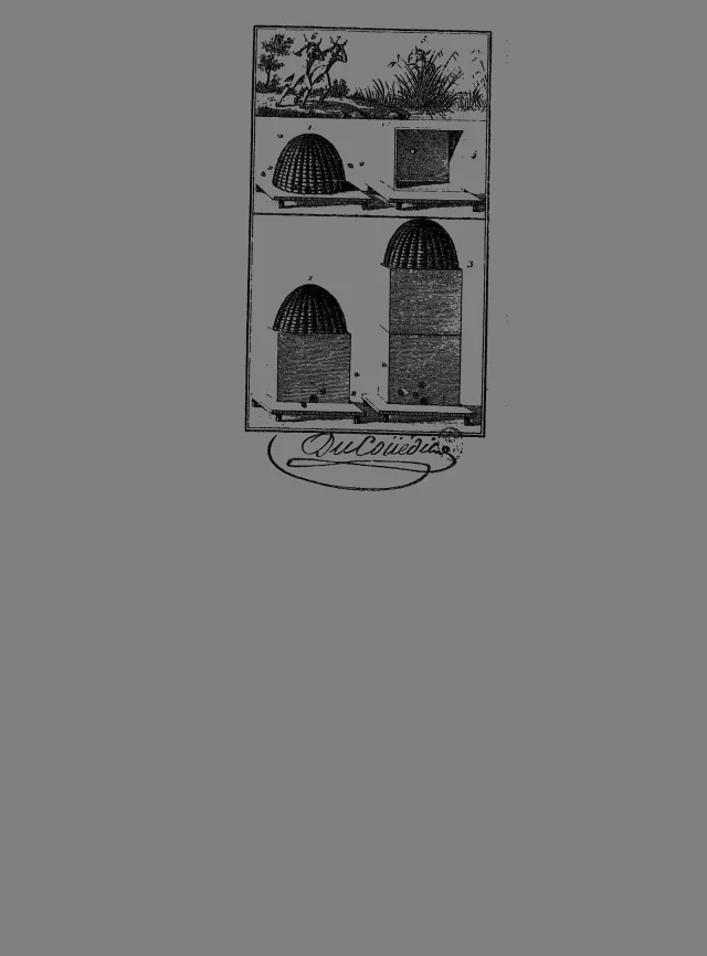 Das Frontispiz: die **ruche pyramidale** aus drei Strohkörben übereinander, mit Strohhaube (chapiteau) und Flugbrett.