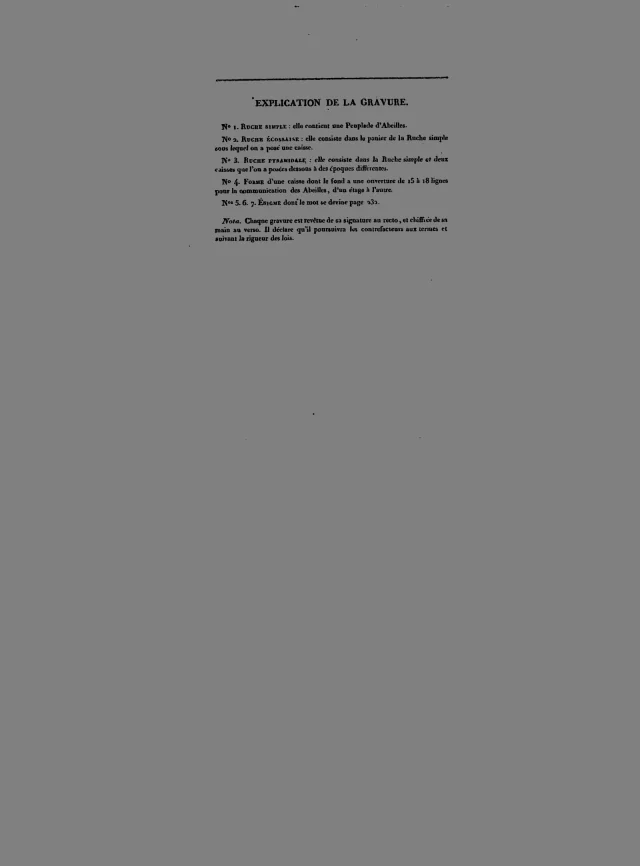 Die „Explication de la gravure" — kein Bild, sondern die Seite, die das Frontispiz erklärt: ruche simple, ruche écossaise, ruche pyramidale, der Kasten, das Bodenloch von 15 bis 18 Linien.