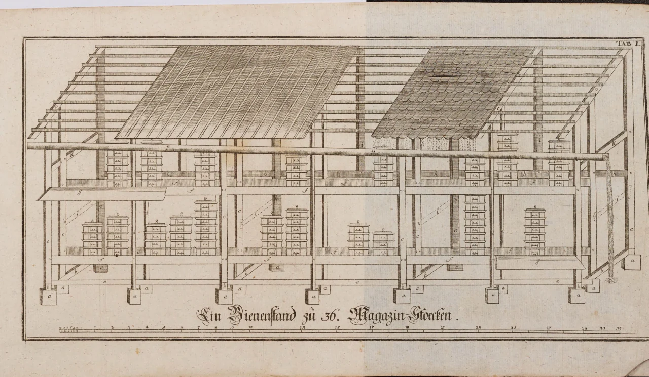 Erste Kupfertafel