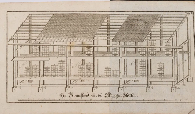 Erste Kupfertafel