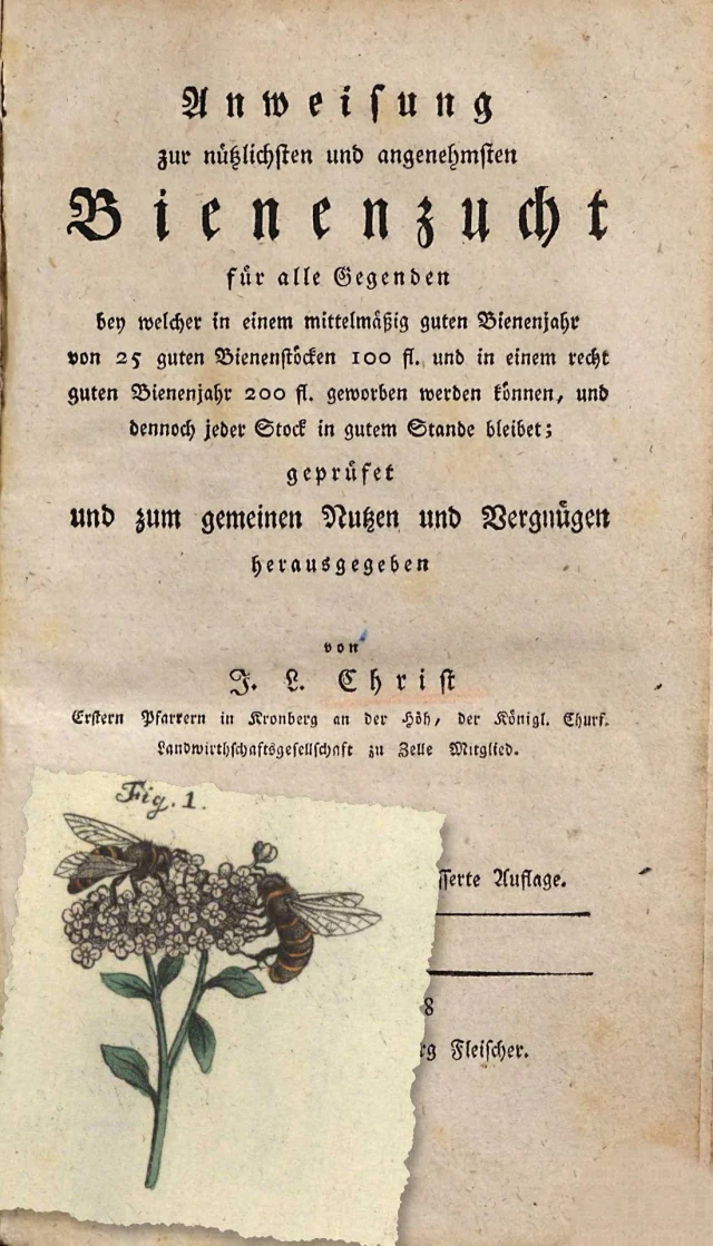 Tittelbladet til Anweisung fra 1798, og oppå et revet blad med håndkolorert kobberstikk: to honningbier på en blomsterskjerm